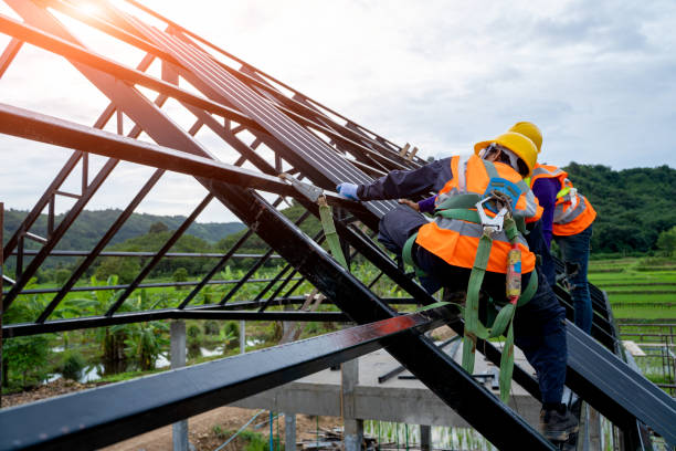 Best Shingle Roofing Installation  in Wallington, NJ