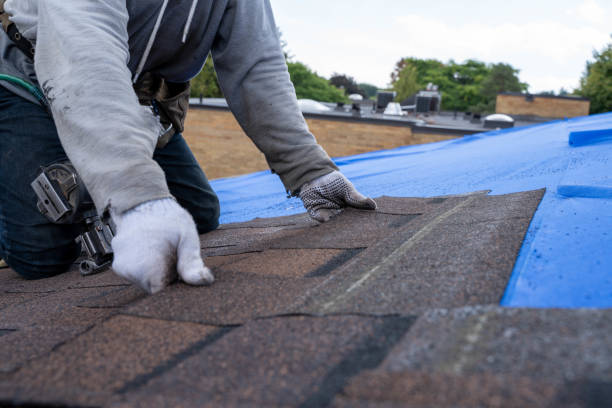 Best Residential Roofing Contractor  in Wallington, NJ