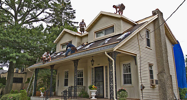 Best Roof Gutter Cleaning  in Wallington, NJ