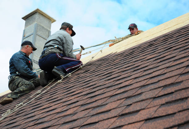 Best New Roof Installation  in Wallington, NJ